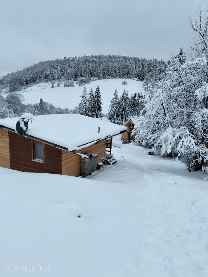 Lesny Dzban Otel Komańcza Dış mekan fotoğraf